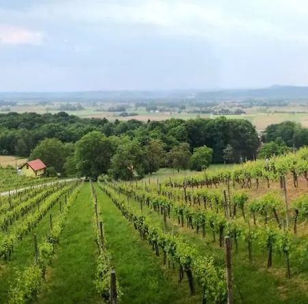 Pocitniska Hisa Med Vinogradi Gorisnica