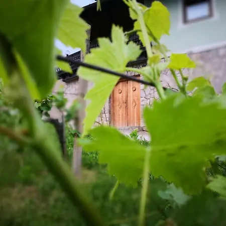 Pocitniska Hisa Med Vinogradi Gorisnica